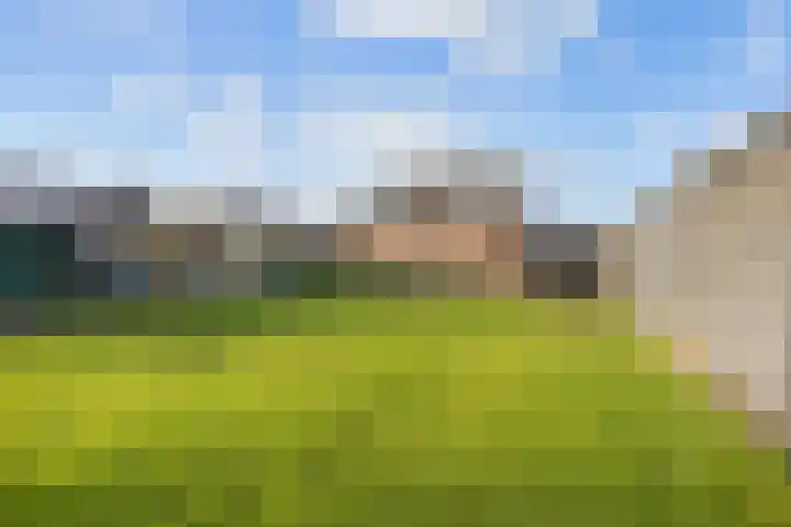 Hogeweg 6 Den Horn thumbnail 50