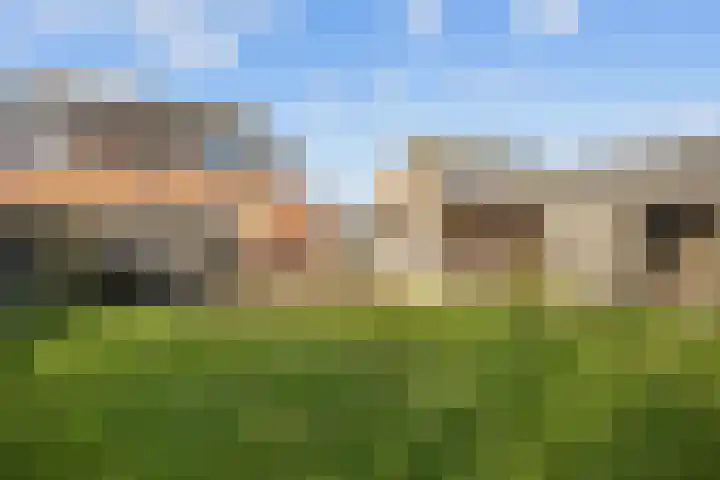 Hogeweg 6 Den Horn thumbnail 52