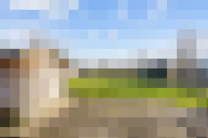 Hogeweg 6 Den Horn thumbnail 55