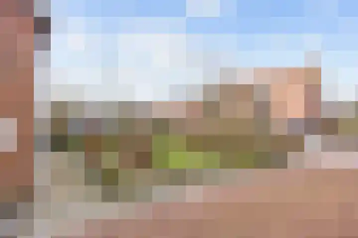 Hogeweg 6 Den Horn thumbnail 7