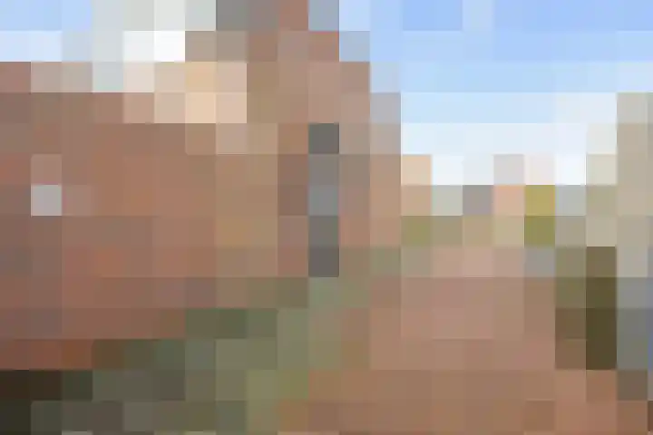 Hogeweg 6 Den Horn thumbnail 9