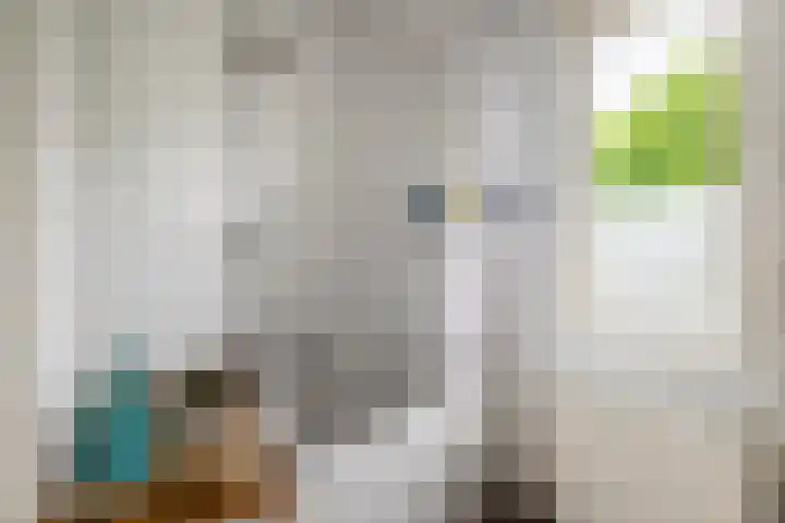 Hogeweg 64 Gronsveld thumbnail 14