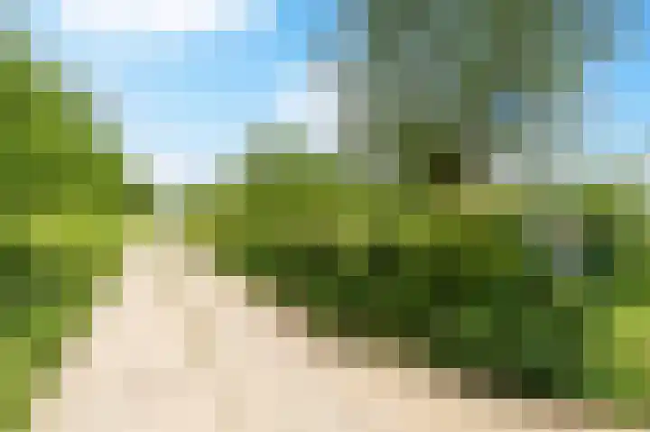 Hogeweg 64 Gronsveld thumbnail 26