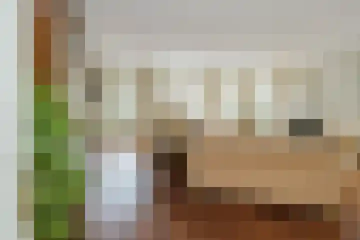 Hogeweg 7 Limmen thumbnail 13