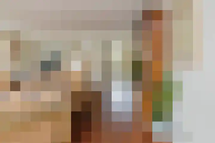 Hogeweg 7 Limmen thumbnail 17