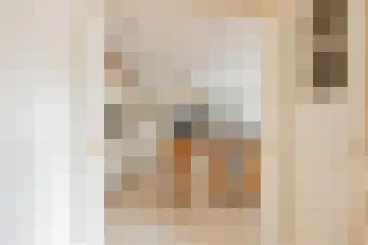 Hogeweg 7 Limmen thumbnail 32