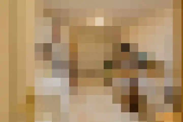 Hogeweg 7 Limmen thumbnail 42