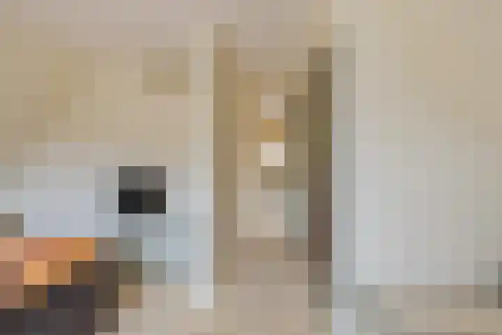 Hogeweg 7 Limmen thumbnail 46