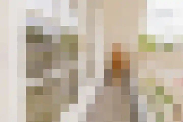 Hogeweg 7 Limmen thumbnail 51