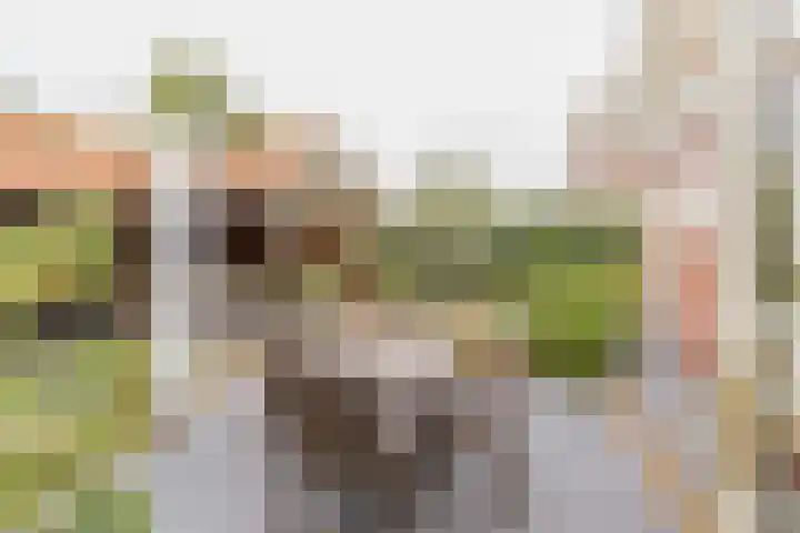 Hogeweg 7 Limmen thumbnail 66