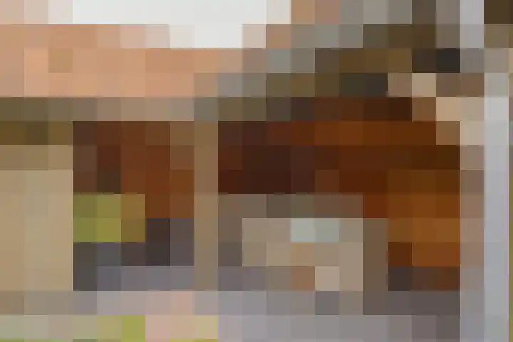 Hogeweg 7 Limmen thumbnail 70