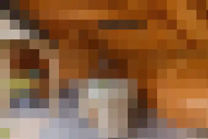 Hogeweg 7 Limmen thumbnail 72