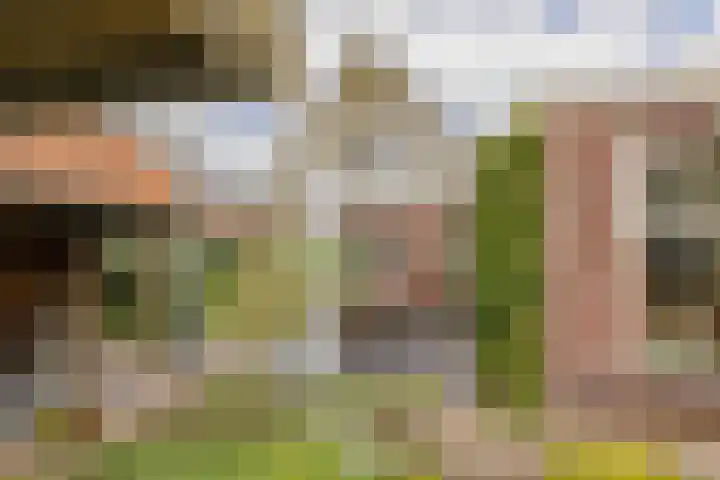 Hogeweg 7 Limmen thumbnail 79