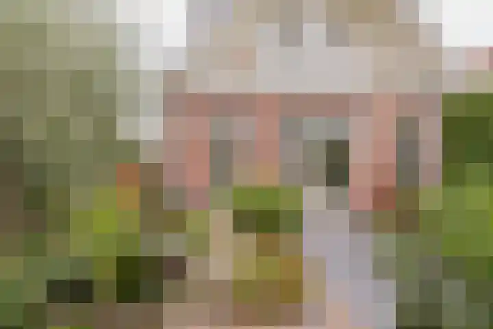 Hogeweg 7 Limmen thumbnail 80