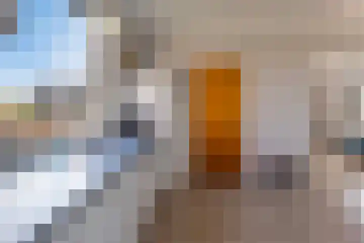 Hogeweg 9 Dreumel thumbnail 11