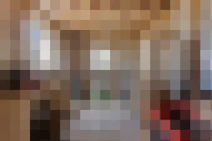 Hogeweg 9 Dreumel thumbnail 28