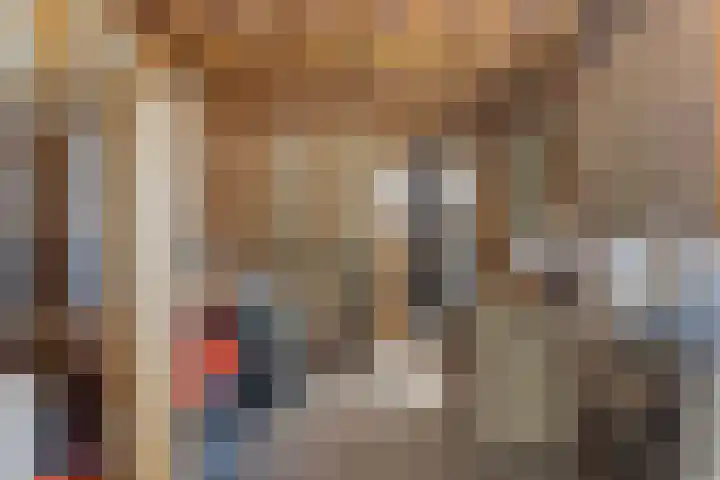 Hogeweg 9 Dreumel thumbnail 29