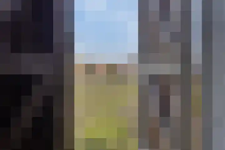 Hogeweg 9 Dreumel thumbnail 32