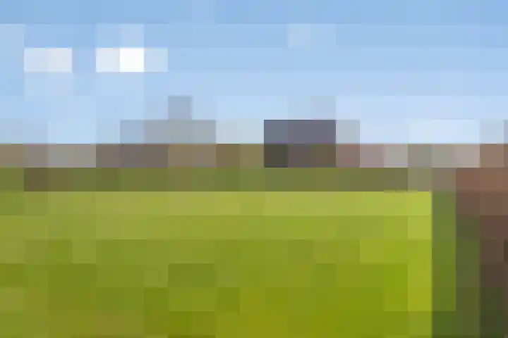 Hogeweg 9 Dreumel thumbnail 38