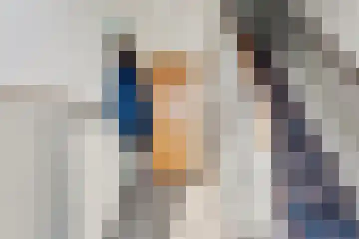Hogeweg 9 Dreumel thumbnail 4