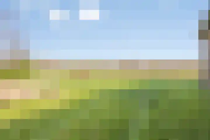 Hogeweg 9 Dreumel thumbnail 42