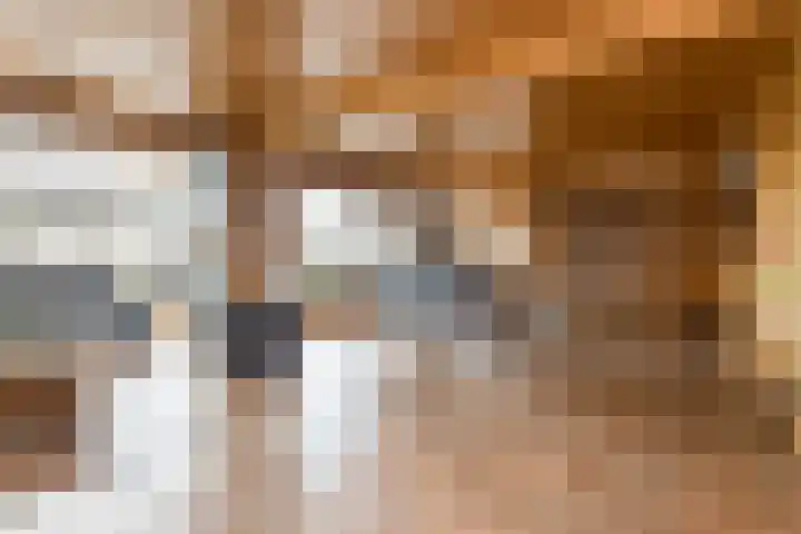 Hogeweg 94 Rossum thumbnail 15