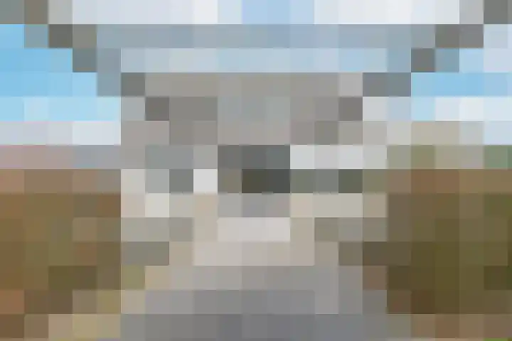 Hogeweg 94 Rossum thumbnail 60