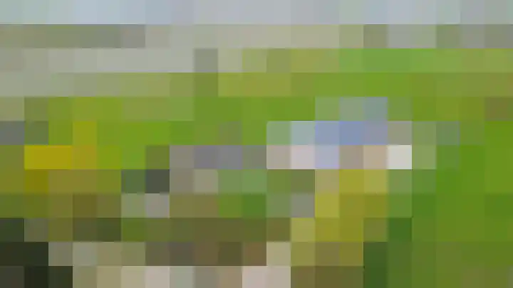 Hogeweg 94 Rossum thumbnail 70