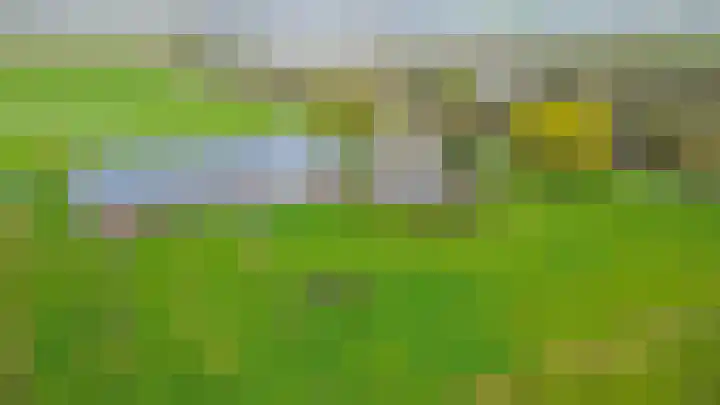 Hogeweg 94 Rossum thumbnail 72