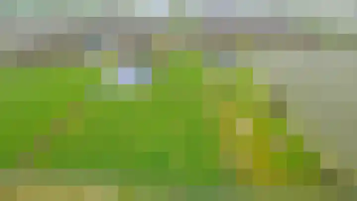 Hogeweg 94 Rossum thumbnail 73