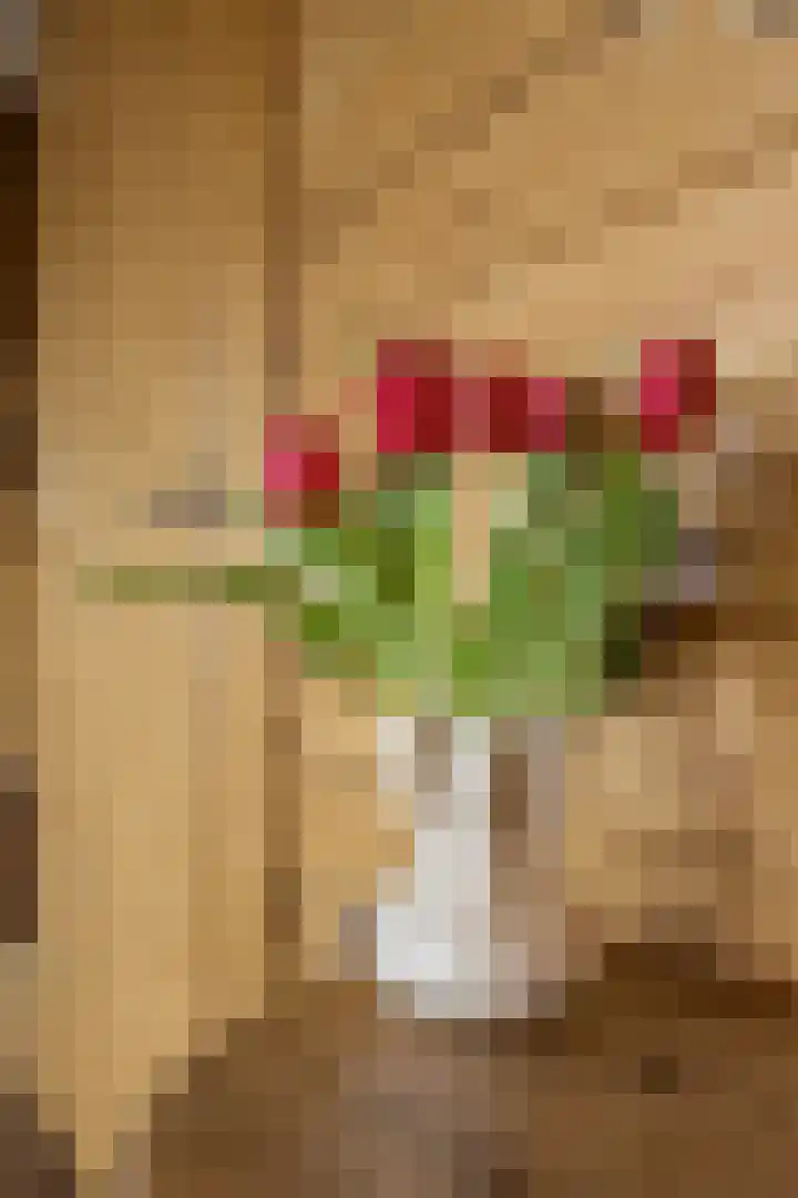 Hogeweg 94 Rossum thumbnail 9