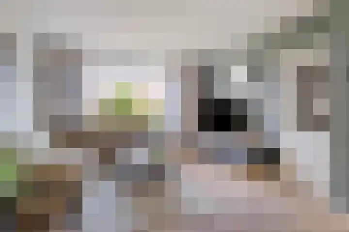 Hogewerf 5 Wouw thumbnail 14