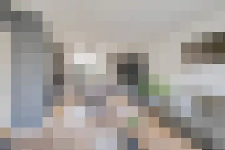 Hogewerf 5 Wouw thumbnail 15