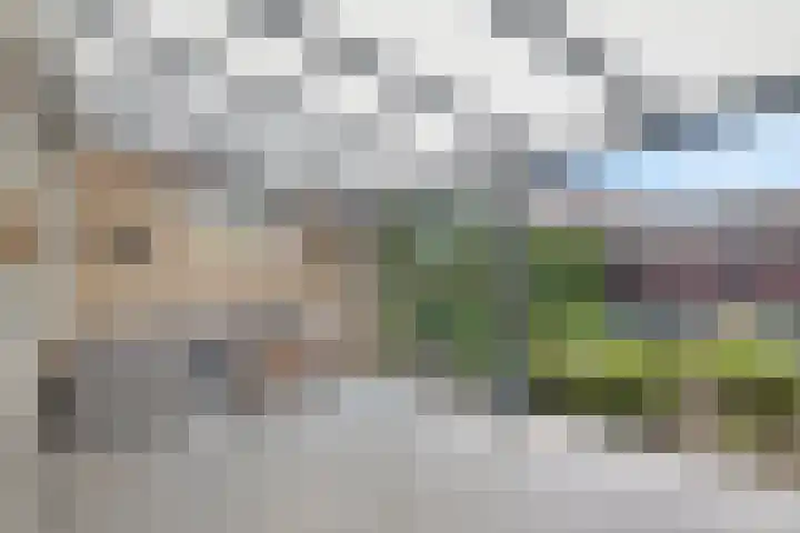 Hogewerf 5 Wouw foto 3