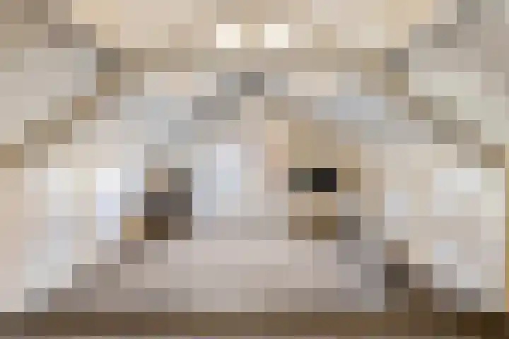 Hogewerf 5 Wouw thumbnail 34