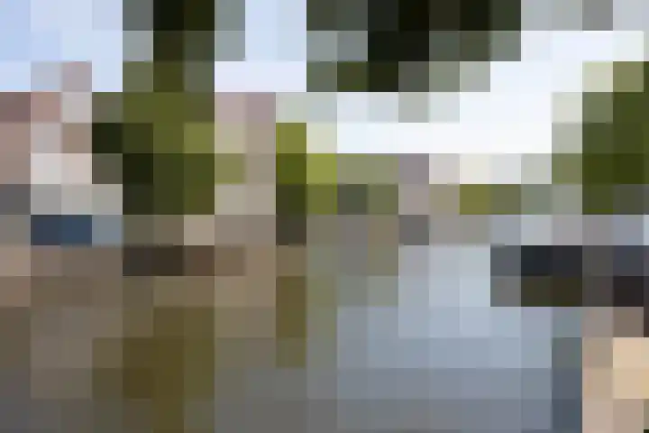 Hogewoerd 103 A Leiden thumbnail 20