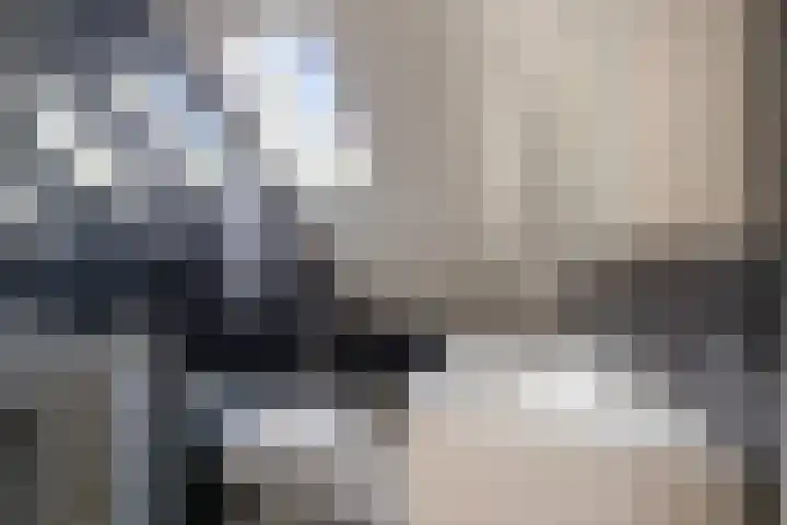 Hogewoerd 103 C Leiden thumbnail 12