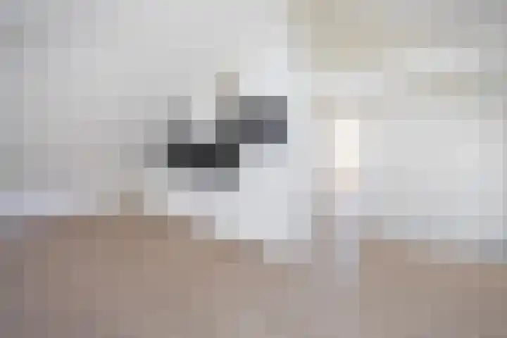 Hogewoerd 103 C Leiden thumbnail 8