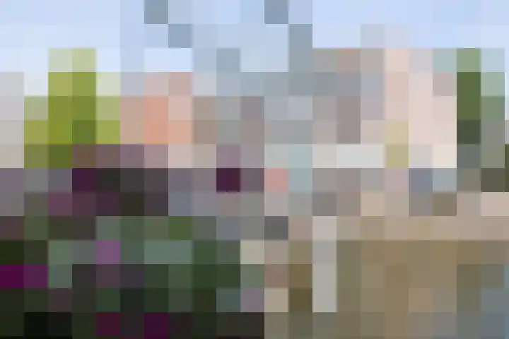 Hogewoerd 103 Leiden thumbnail 22
