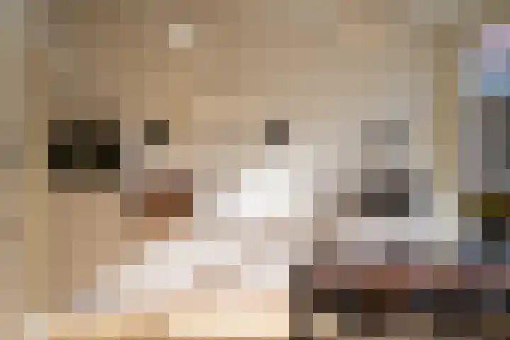 Hogewoerd 118 B Leiden thumbnail 8