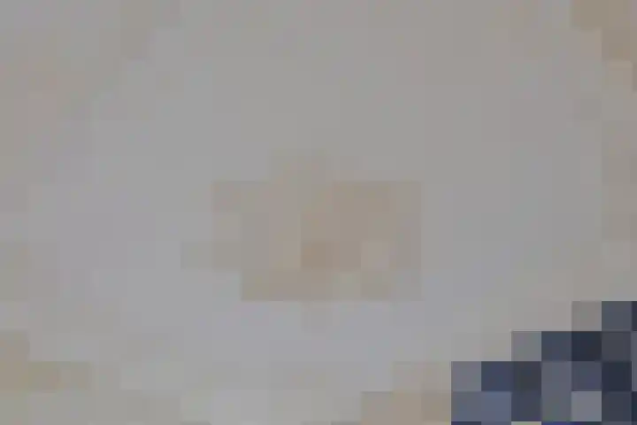 Hogewoerd 136 Leiden thumbnail 23