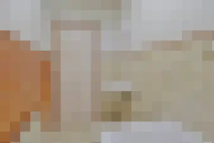 Hogewoerd 136 Leiden thumbnail 36