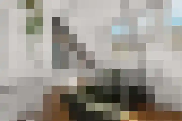 Hogewoerd 46 A 2 Leiden thumbnail 12