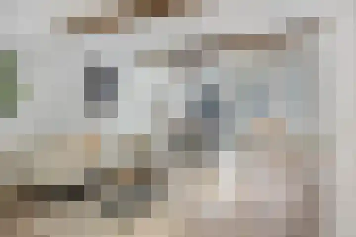 Hogewoerd 97 A Leiden thumbnail 16