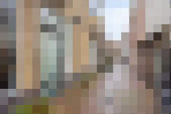 Hogewoerd 97 A Leiden thumbnail 5
