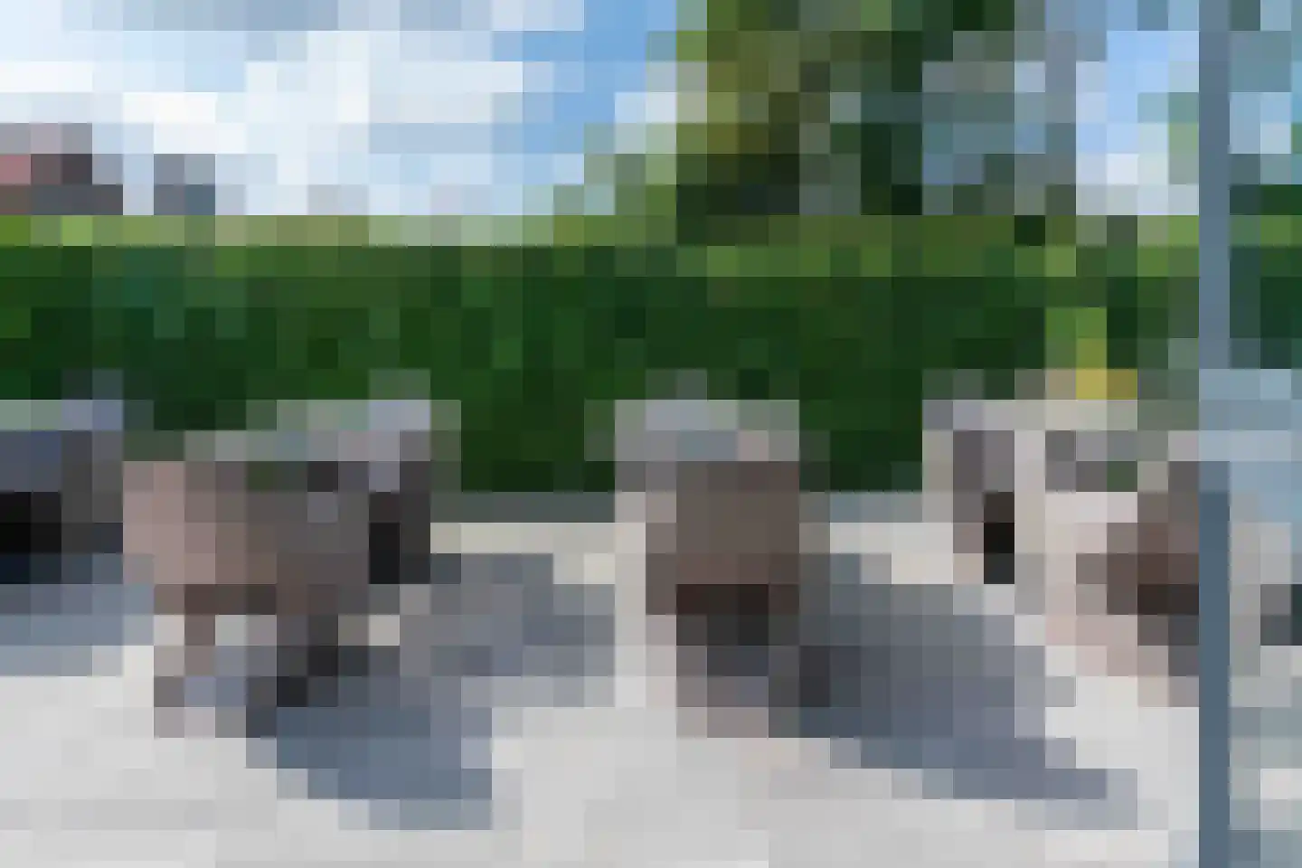 Hogezoom 139 Renesse thumbnail 12