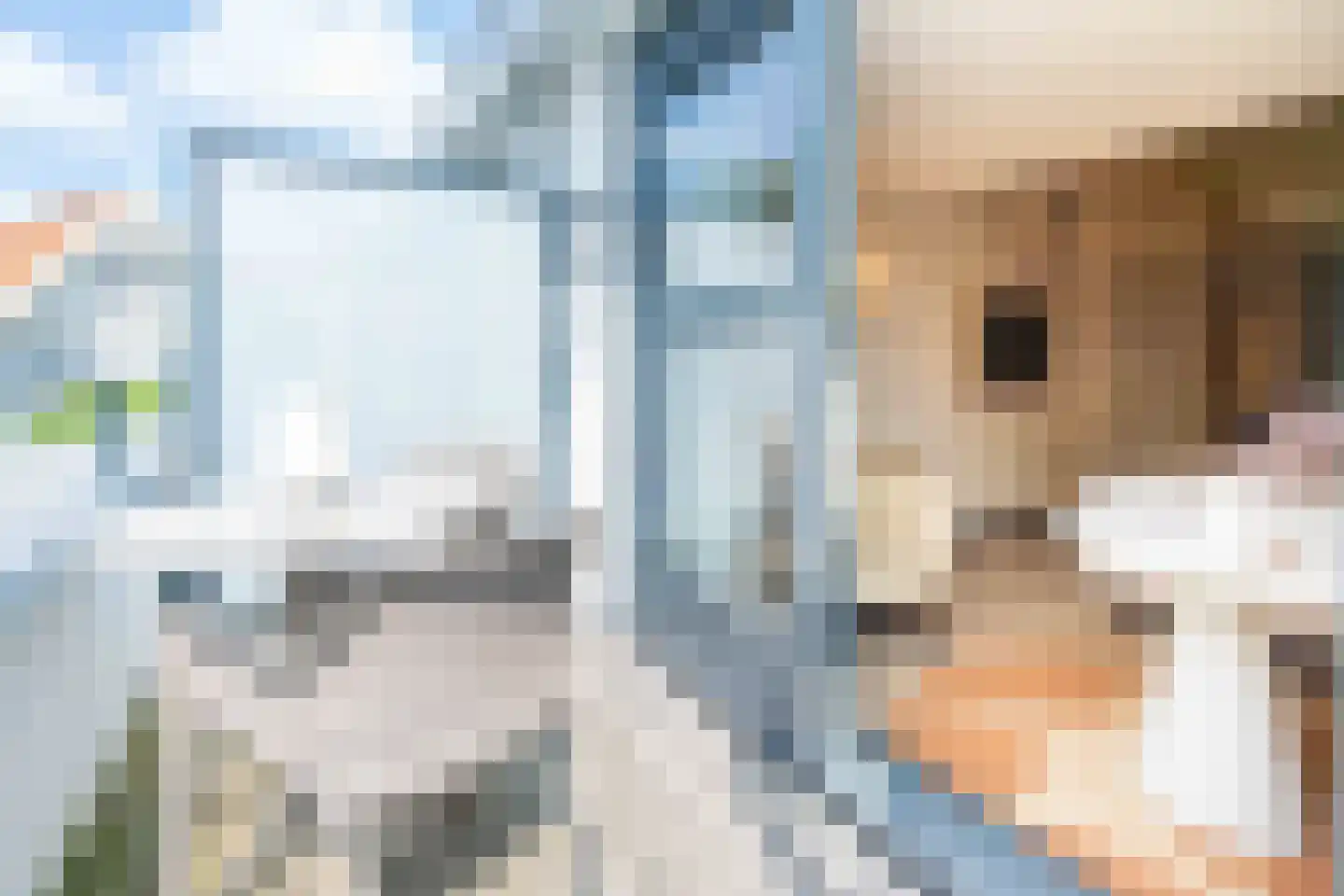 Hogezoom 139 Renesse thumbnail 4