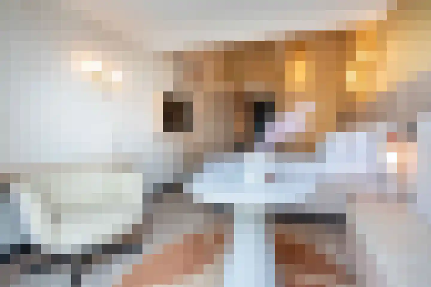 Hogezoom 139 Renesse thumbnail 6