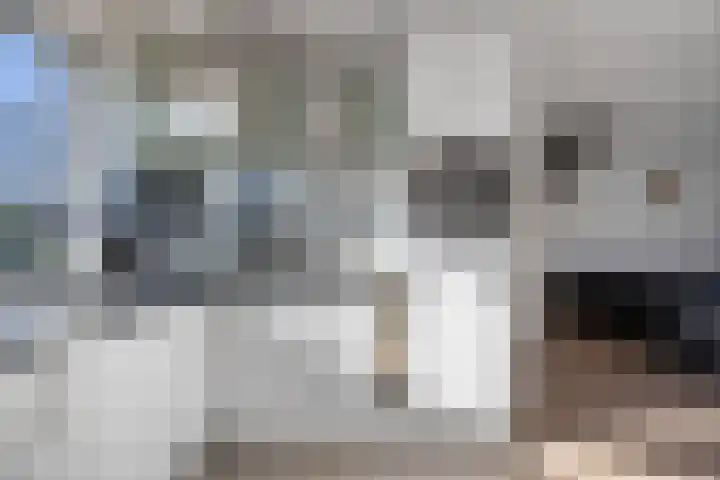Holbeinstraat 7 Almere thumbnail 11