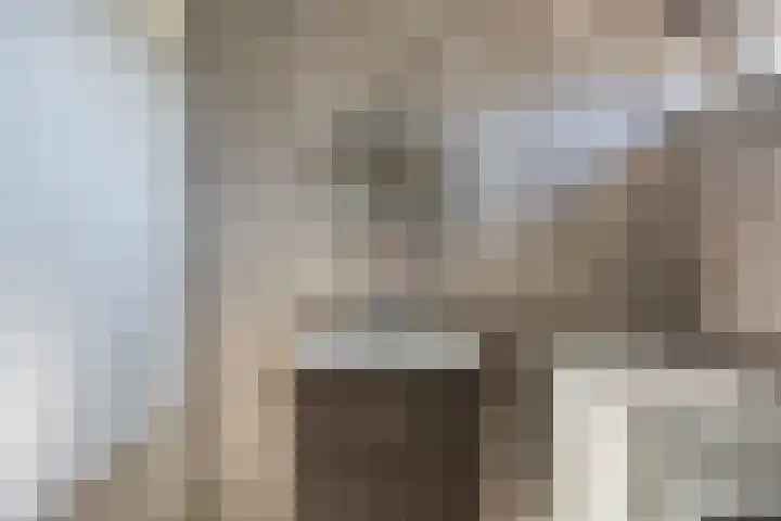 Holbeinstraat 7 Almere thumbnail 18